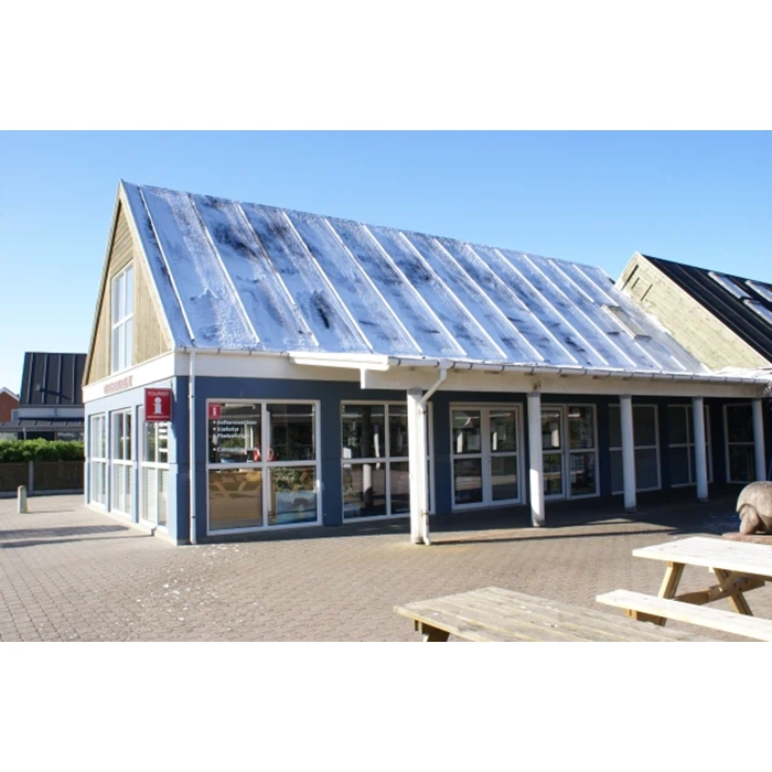 Algebehandling af tag fra Hvide Sande Tagrens